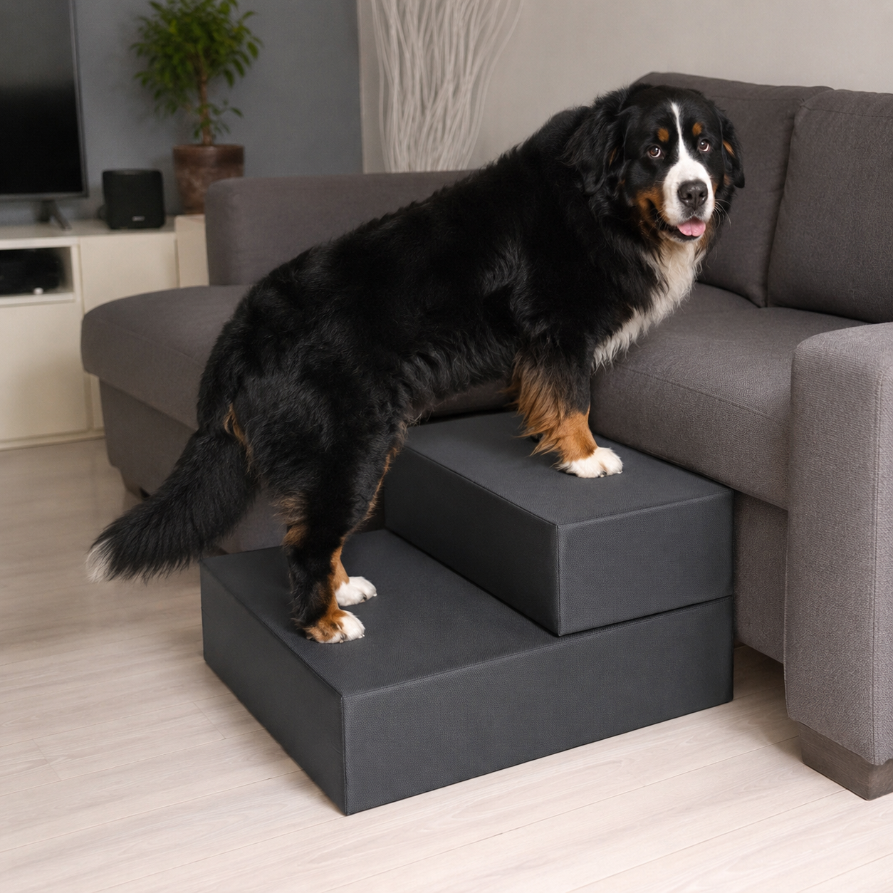 Scala / Rampa per Cani – Supporto Sicuro per Salire Letto - immagine 5